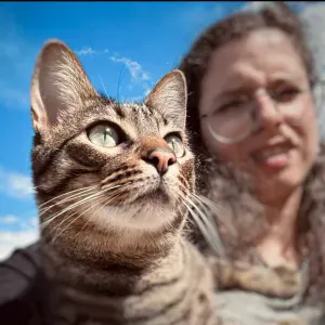 ✨ Amor e cuidado para o seu gato em Loures ✨