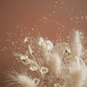 Femme de ménage aux alentours de Mercus-Garrabet  