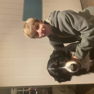 Promenade de chien à Wezembeek