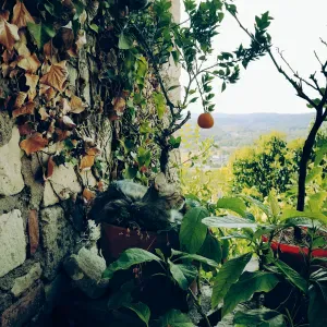 Présence, Nettoyage, accompagnement cuisine