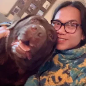 Pet siter for dog cat etc in beziers 