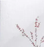 Femme de ménage avec expérience et références 