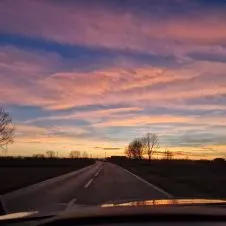 Cerco una persona autonoma e professionale, amante dei cani.