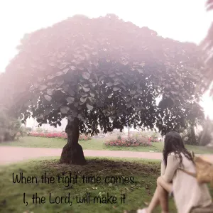 Service de nettoyage soigné et efficace pour votre domicile 