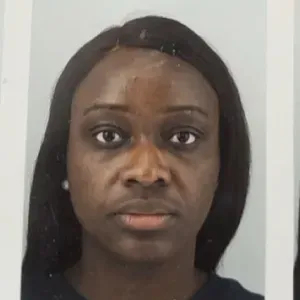 Baby-Sitter expérimentée dans le 93