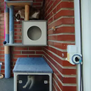 Puesto para cuidador de mascotas en VACACIONES en León