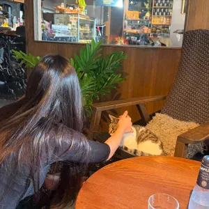 Pet sitting or baby sitting in stockholm