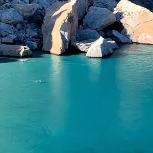 Aide ménagères , aide à la personne 