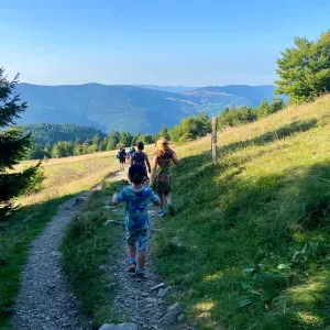 Je recherche un-e baby sitter pour des gardes occasionnelles