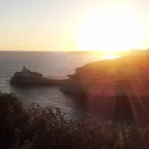 cerco servizio pulizia regolare