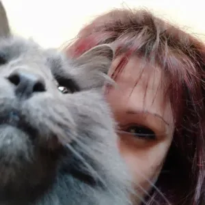 Garde de chat à domicile sur Vincennes 