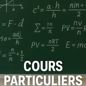 Professeur en école d'ingénieurs donne cours particuliers 