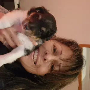 Virginie Pet-Sitter à Rodez et ses alentours.