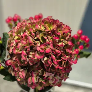 Puesto de cuidador en Barcelona