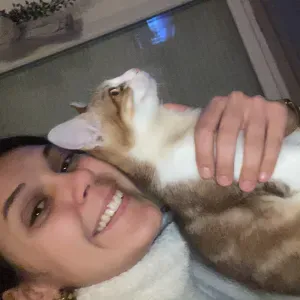 Garde d'animaux / Visites / Promenades 