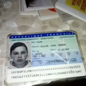 Promener mes loulou a calais 62