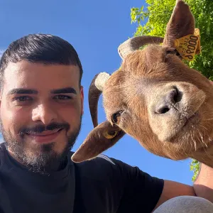 Pet sitter disponible 🐶🐈🐾🦴