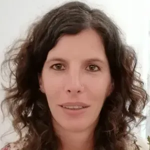 Passar a ferro no meu domicílio