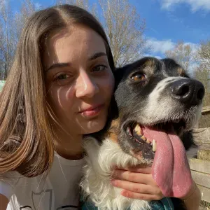 Garde d'animaux, promenade ou passage