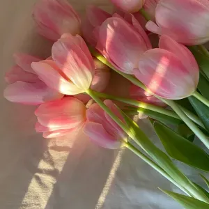Femme de ménag responsable brest