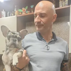 PET SITTING / TRANSPORTE PARA VETERINÁRIO/BANHOS/TOSQUIAS
