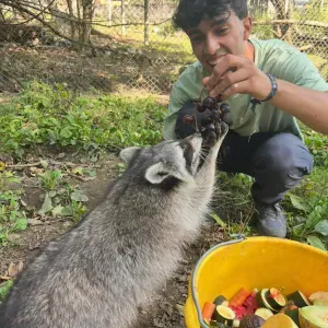Cuidado de todo tipo de mascotas a domicilio! 