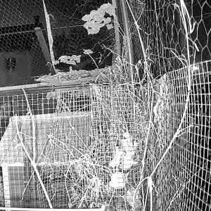 Je cherche une femme de ménage à domicile