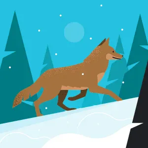 Addetta Pulizie zona Gavardo(BS)