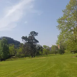 Cuidadora en Bilbao, con amplia experiencia 