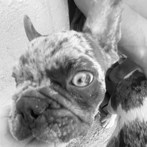 Babysitter em Torres Vedras(6 meses d experiência)!