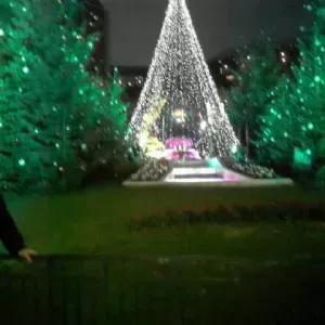 Emploi de dame de compagnie à Chalon-sur-Saône