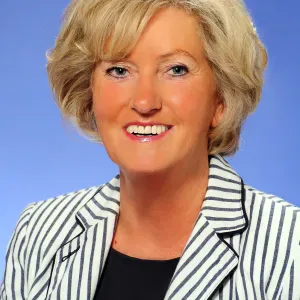 Sercico Limpeza amigável e honesto