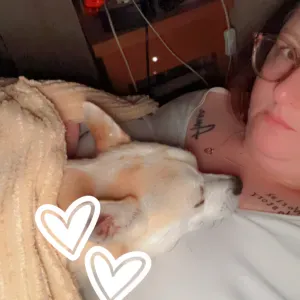 Offre d'emploi pour un(e) petsitter à Veigné
