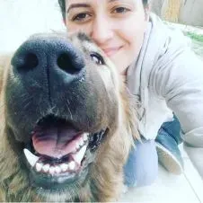 Les animaux sont une beauté qu'il faut chérir