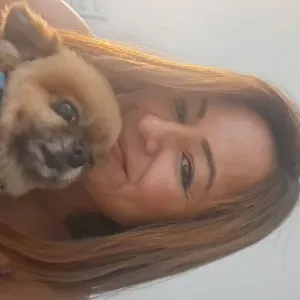 Garde de chiens et chats