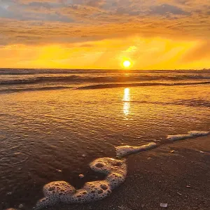 Femme de menage prestations de services 