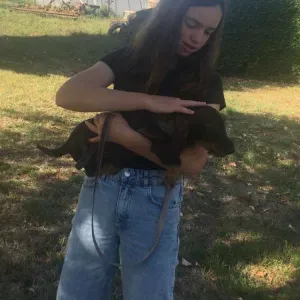 Services de garde d'animaux ! 