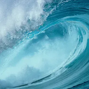 Garde d'animaux aux environs d'Asnières 