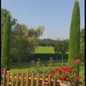 Baby-sitting ponctuel