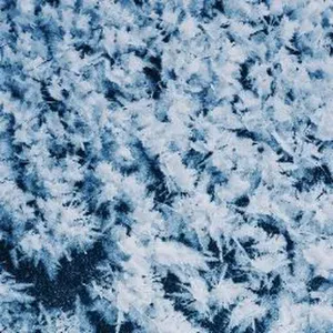 studentessa in infermieristica 