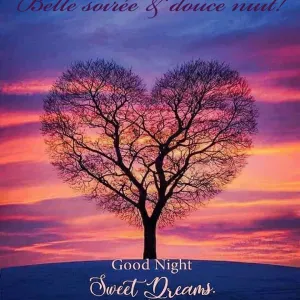 Auxiliaire de vie polyvalente 