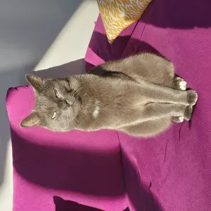 Aide à la personne - job d'été