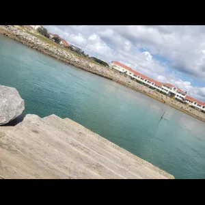 Recherche garde animaux