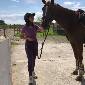 Je cherche à m'occuper d'animaux