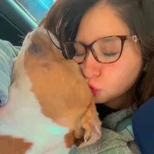 Baby-sitter esperta ad Alessandria 