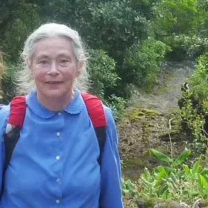 Lavoro pulizie Firenze