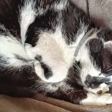 Aide à domicile depuis 20 ans et passionnée par mon métier