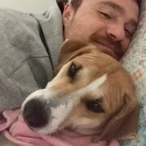 Pet sitting em todo distrito de Lisboa