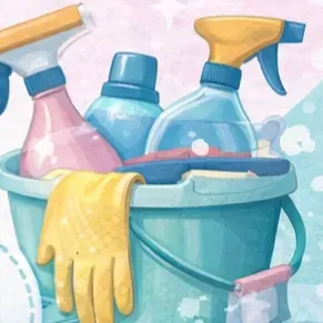 🌸femme de ménage expérimenté 