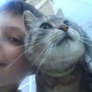  Pet Sitter pour mes 2 chats